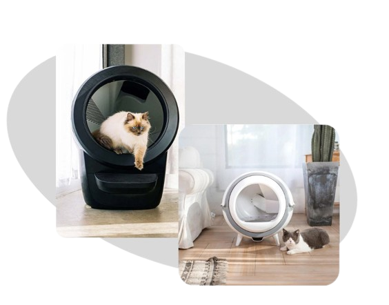 Automatic Litter Boxes