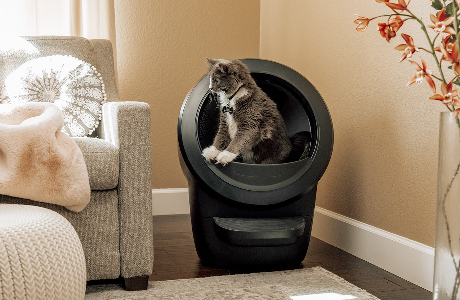 Automatische kattenbak van Litter Robot