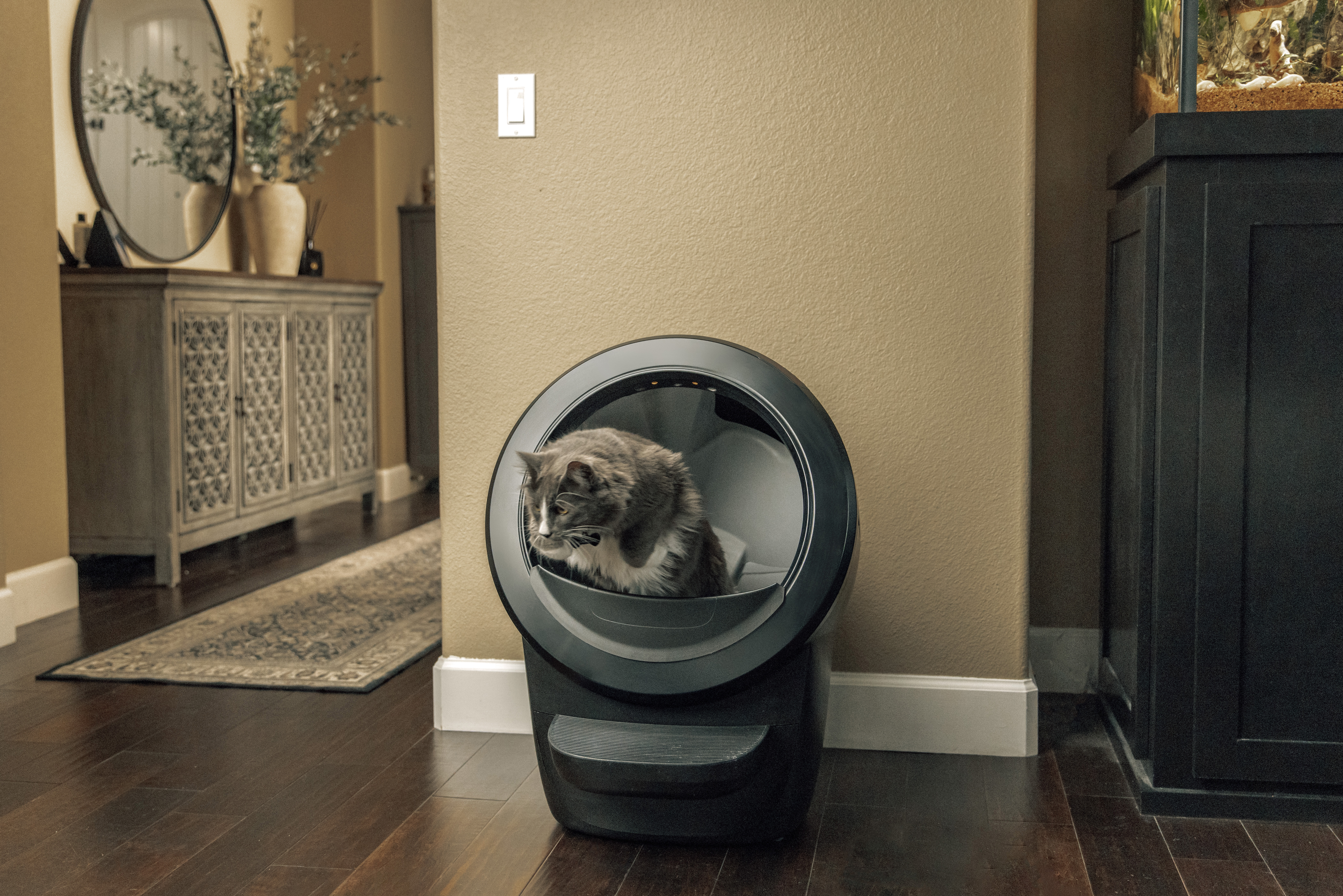 Automatische kattenbak van Litter Robot